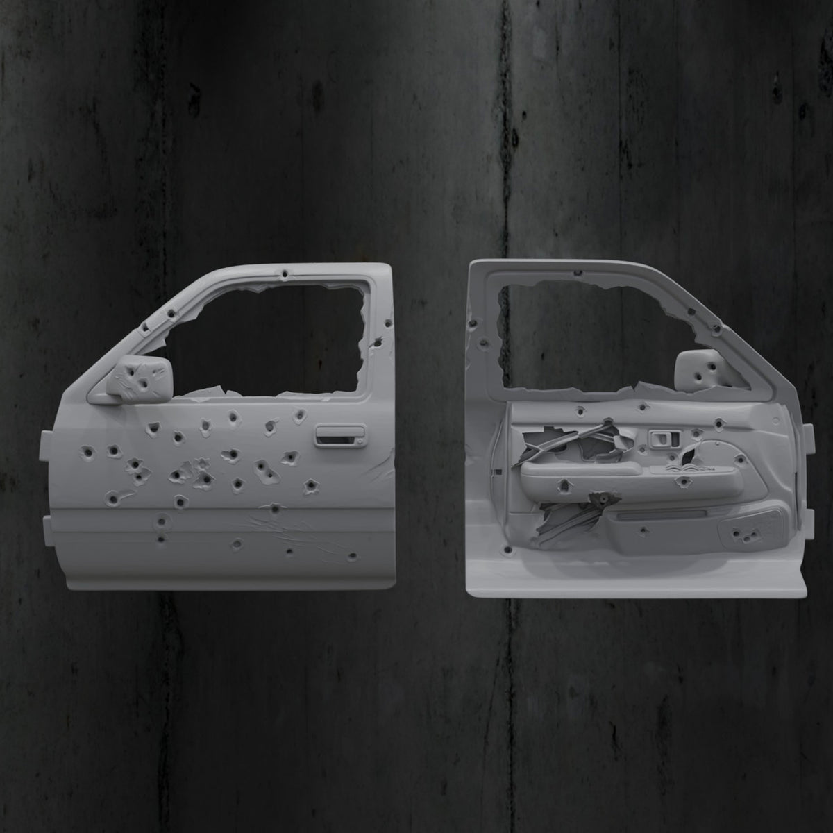 Car Door Shield