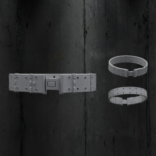 ALICE Belt