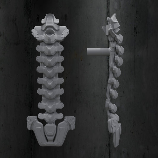 Exospine 1